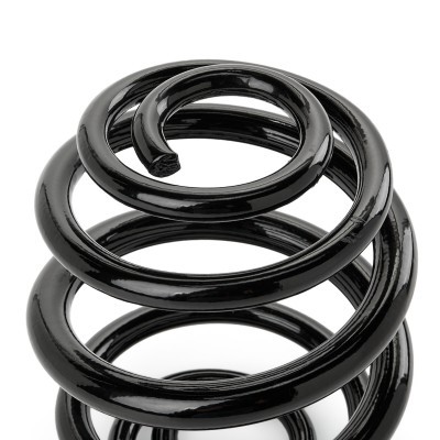 Suspension Spring RIDEX 188C0614 188C0614 - photo 3