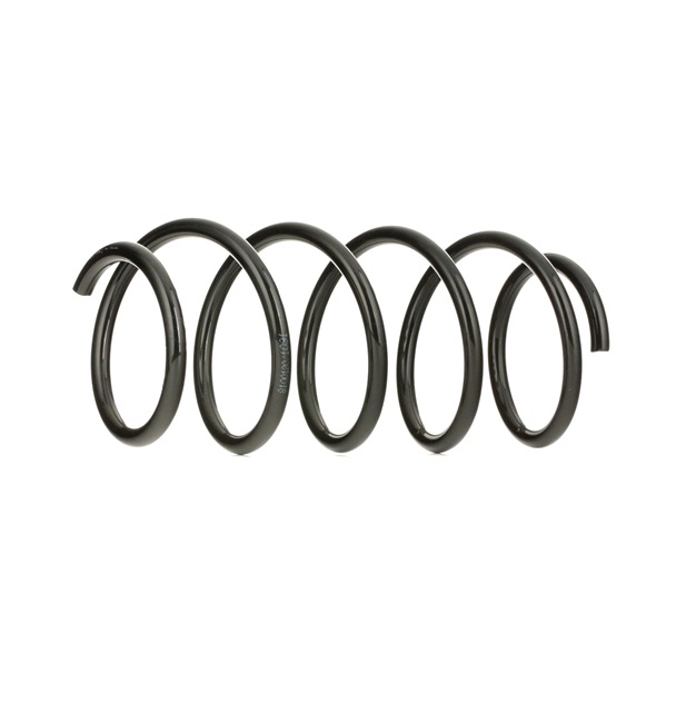Suspension Spring RIDEX 188C0021 188C0021 - photo 1