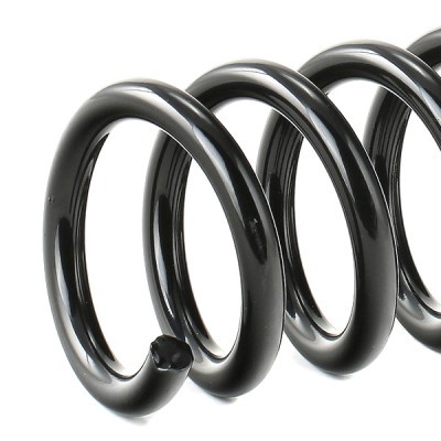 Suspension Spring RIDEX 188C0443 188C0443 - photo 4