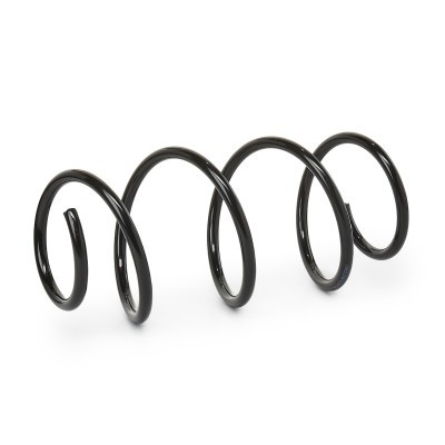 Suspension Spring RIDEX 188C0042 188C0042 - photo 2