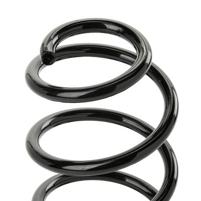 Suspension Spring RIDEX 188C1280 188C1280 - photo 3