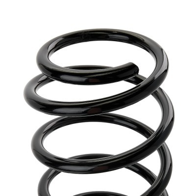 Suspension Spring RIDEX 188C0642 188C0642 - photo 4