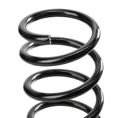Suspension Spring RIDEX 188C1049 188C1049 - photo 4