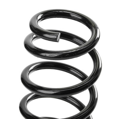 Suspension Spring RIDEX 188C1356 188C1356 - photo 4