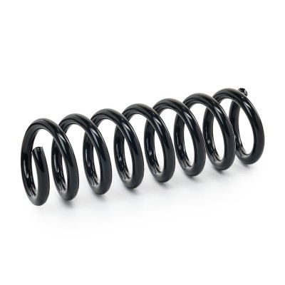 Suspension Spring RIDEX 188C1932 188C1932 - photo 2