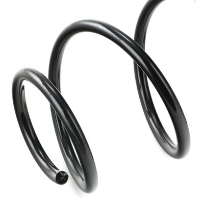 Suspension Spring RIDEX 188C0594 188C0594 - photo 4