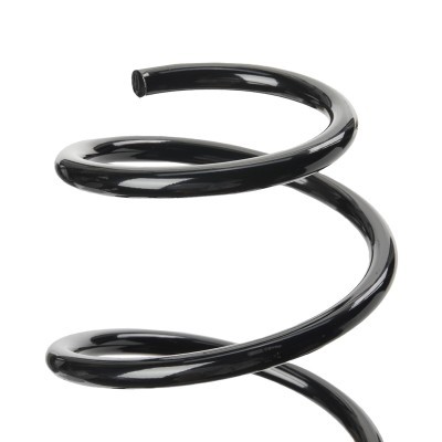Suspension Spring RIDEX 188C2111 188C2111 - photo 4