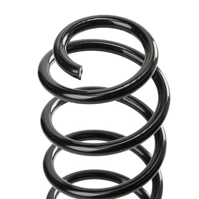 Suspension Spring RIDEX 188C1228 188C1228 - photo 4