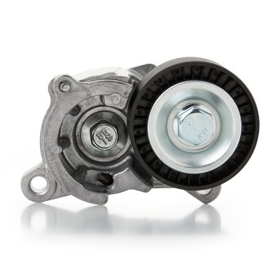 Belt Tensioner V-Ribbed Belt RIDEX 310T0055 310T0055 - photo 6