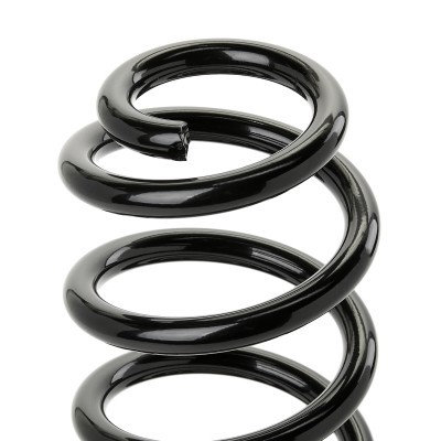Suspension Spring RIDEX 188C0507 188C0507 - photo 3