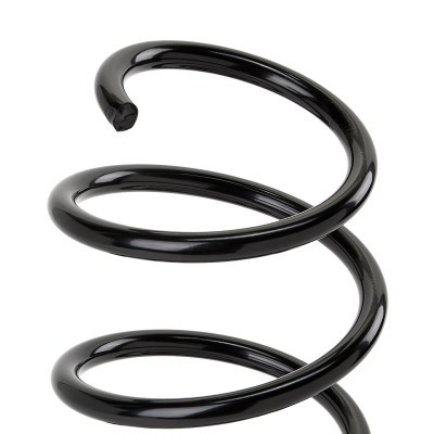 Suspension Spring RIDEX 188C0349 188C0349 - photo 3