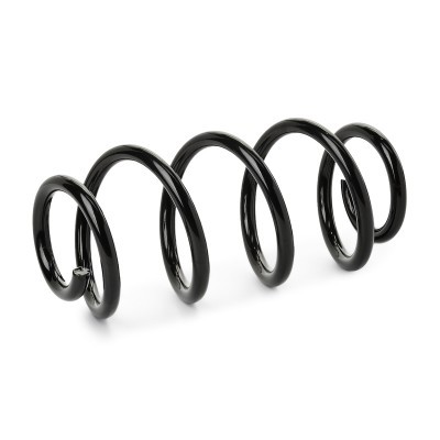 Suspension Spring RIDEX 188C1291 188C1291 - photo 2