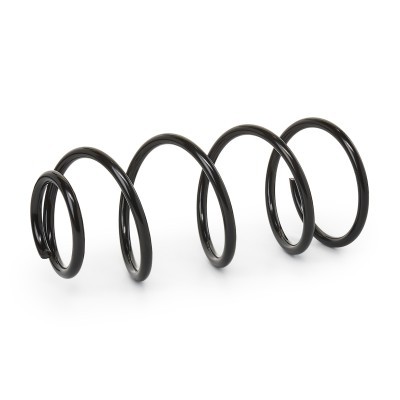 Suspension Spring RIDEX 188C0223 188C0223 - photo 2