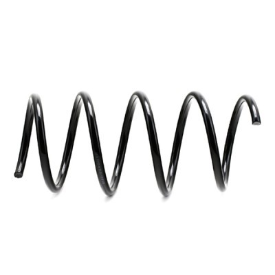 Suspension Spring RIDEX 188C0063 188C0063 - photo 5