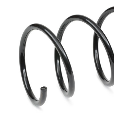 Suspension Spring RIDEX 188C0775 188C0775 - photo 4