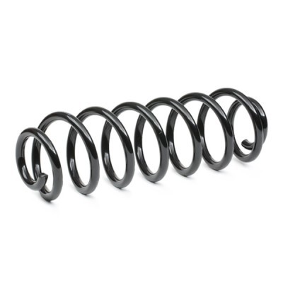 Suspension Spring RIDEX 188C0654 188C0654 - photo 3