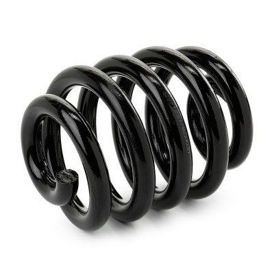 Suspension Spring RIDEX 188C1797 188C1797 - photo 2