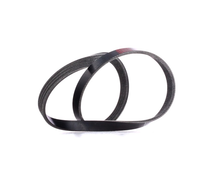 V-Ribbed Belt Stark SKPB-0090257 SKPB-0090257 - photo 1