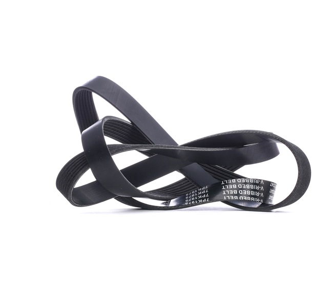V-Ribbed Belt Stark SKPB-0090181 SKPB-0090181 - photo 1