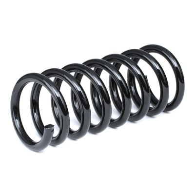 Suspension Spring RIDEX 188C1245 188C1245 - photo 3