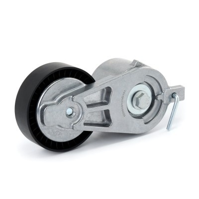 Belt Tensioner V-Ribbed Belt RIDEX 310T0316 310T0316 - photo 4