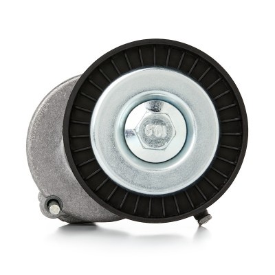 Belt Tensioner V-Ribbed Belt RIDEX 310T0017 310T0017 - photo 6
