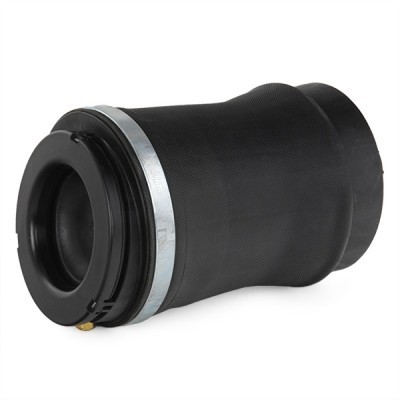 Bellow, Air Suspension RIDEX 4119A0043 4119A0043 - photo 4