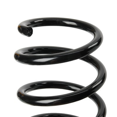 Suspension Spring RIDEX 188C0730 188C0730 - photo 3