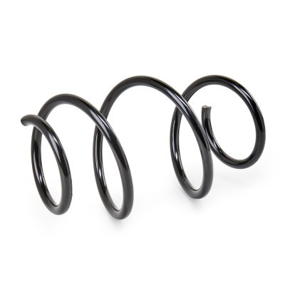 Suspension Spring RIDEX 188C3563 188C3563 - photo 2