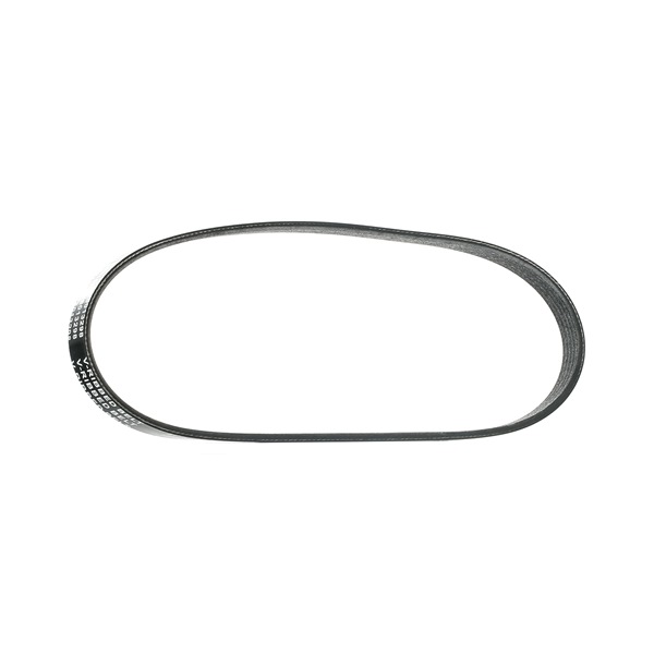 V-Ribbed Belt Stark SKPB-0090155 SKPB-0090155 - photo 1