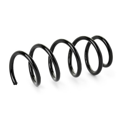Suspension Spring RIDEX 188C1813 188C1813 - photo 2
