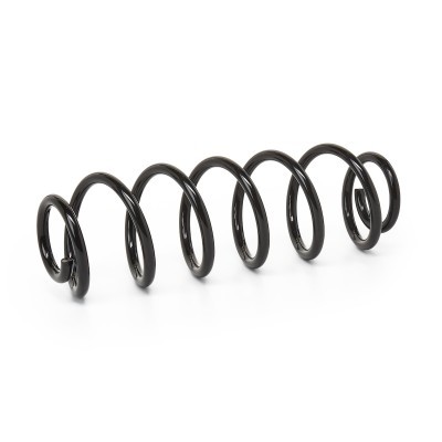 Suspension Spring RIDEX 188C0317 188C0317 - photo 3