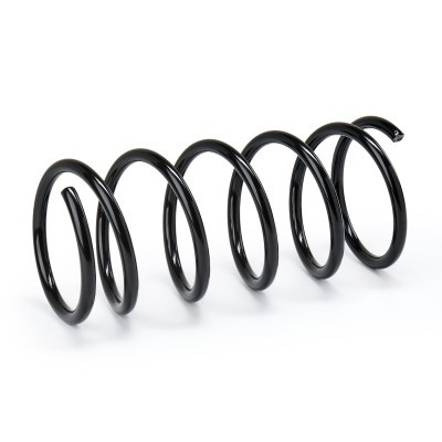 Suspension Spring RIDEX 188C0621 188C0621 - photo 2