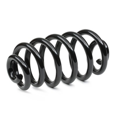 Suspension Spring RIDEX 188C1200 188C1200 - photo 3