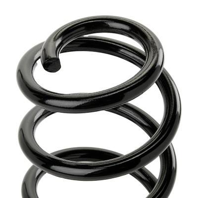 Suspension Spring RIDEX 188C0753 188C0753 - photo 3