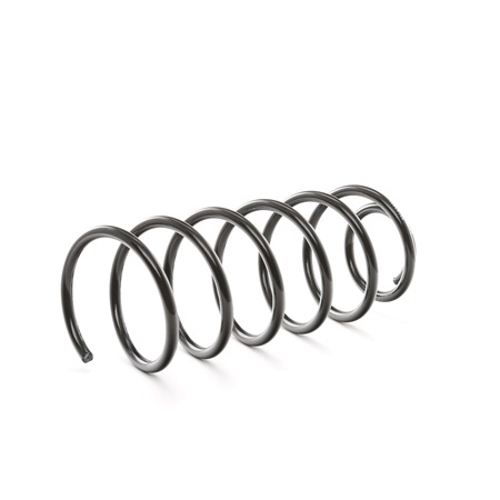 Suspension Spring RIDEX 188C0100 188C0100 - photo 1