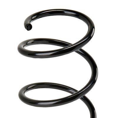 Suspension Spring RIDEX 188C1422 188C1422 - photo 4