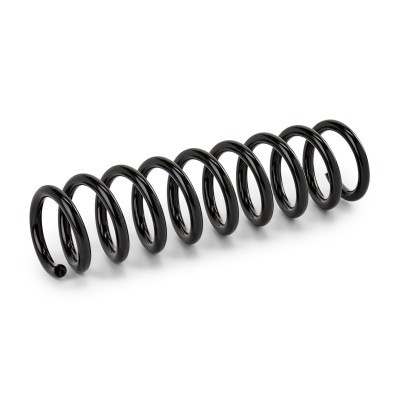 Suspension Spring RIDEX 188C1250 188C1250 - photo 2