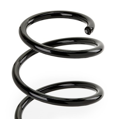Suspension Spring RIDEX 188C1914 188C1914 - photo 3