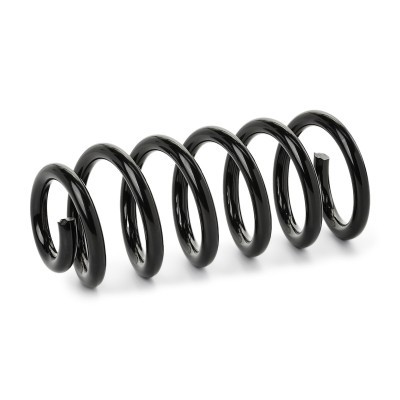 Suspension Spring RIDEX 188C1817 188C1817 - photo 2