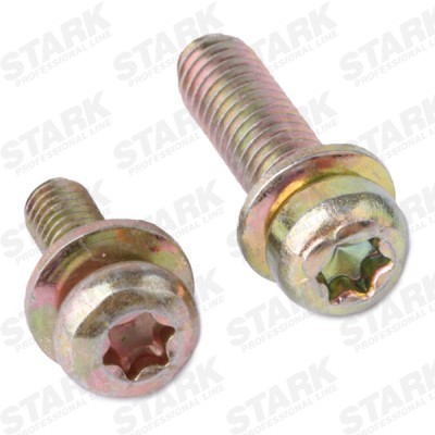 Control Valve, camshaft adjustment Stark SKICV-0740021 SKICV-0740021 - photo 6