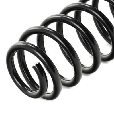 Suspension Spring RIDEX 188C0494 188C0494 - photo 4
