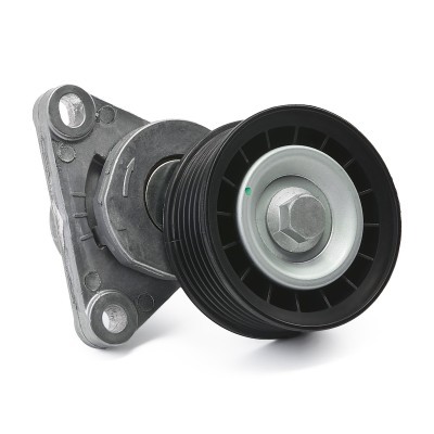 Belt Tensioner V-Ribbed Belt RIDEX 310T0241 310T0241 - photo 3