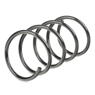 Suspension Spring RIDEX 188C0229 188C0229 - photo 3