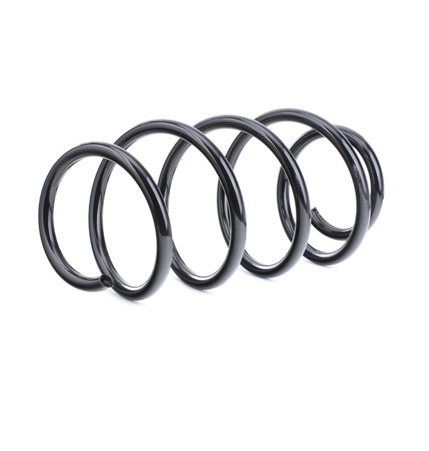 Suspension Spring RIDEX 188C0462 188C0462 - photo 1