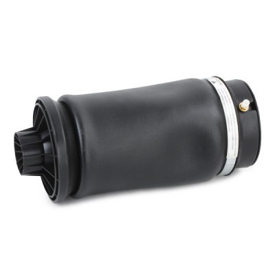 Bellow, Air Suspension RIDEX 4118A0014 4118A0014 - photo 6