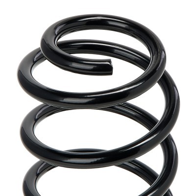 Suspension Spring RIDEX 188C0830 188C0830 - photo 3