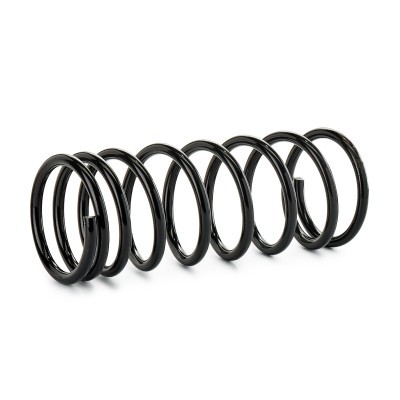 Suspension Spring RIDEX 188C0324 188C0324 - photo 2