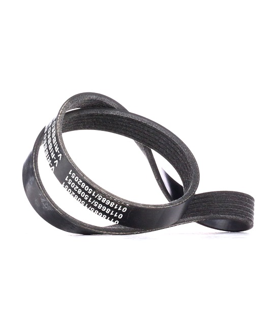 V-Ribbed Belt Stark SKPB-0090255 SKPB-0090255 - photo 1