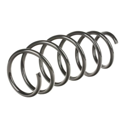Suspension Spring RIDEX 188C0109 188C0109 - photo 3
